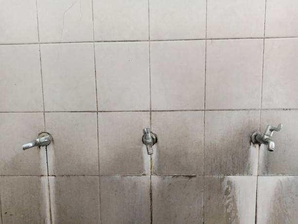 Best Flood damage cleanup  in Lucas, TX
